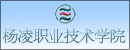 北京4-5